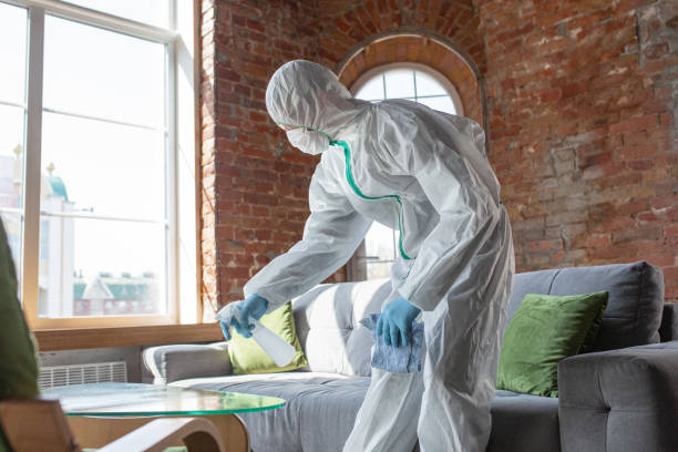 Professional Mold Removal & Remediation in Kenyon, MN